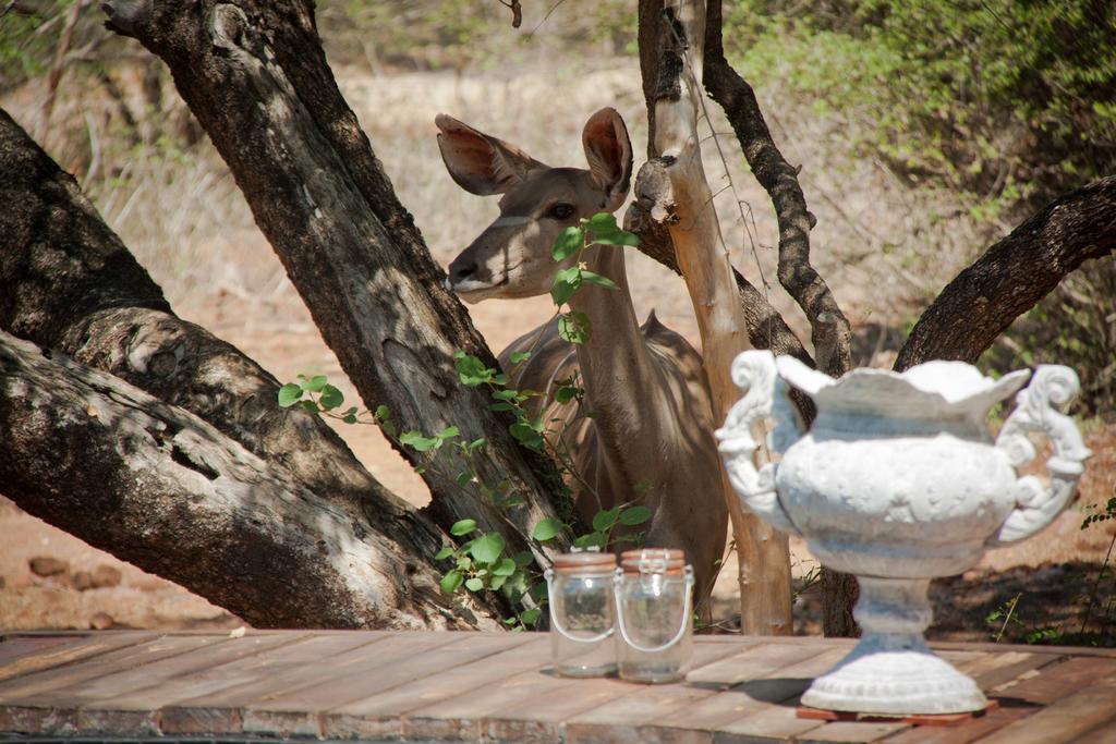 Mvuradona Safari Lodge Marloth Park Exterior photo